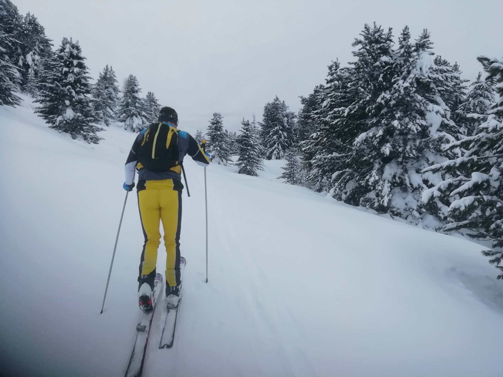 Sci alpinismo